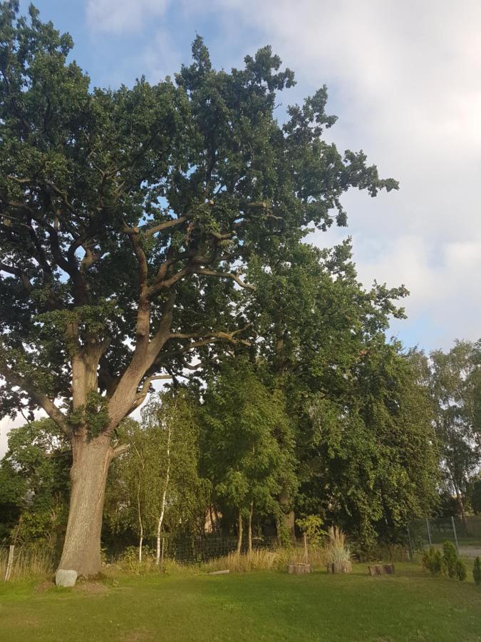 דירות Kargow Oase Am Nationalpark מראה חיצוני תמונה